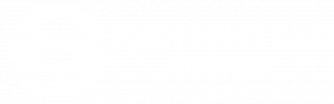 Freedom's Ark Logo
